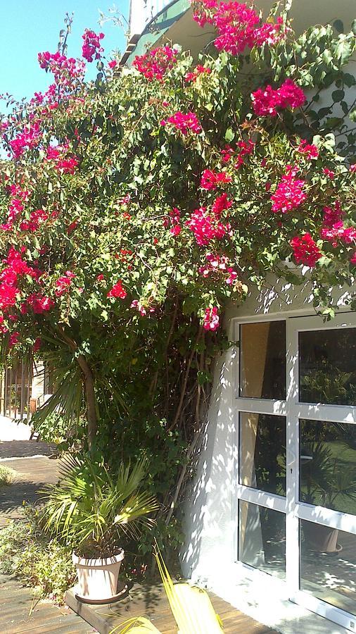 Cape Oasis Guesthouse Bloubergstrand Exterior foto