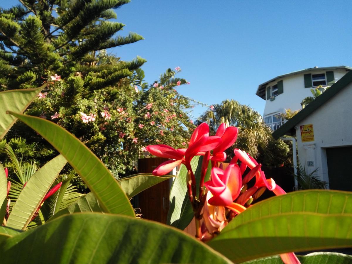 Cape Oasis Guesthouse Bloubergstrand Exterior foto